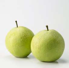 白底 梨