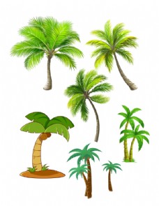 夏日椰树