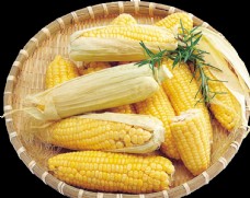 秋季新品玉米
