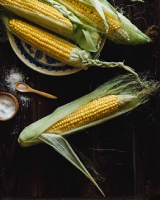 秋季新品玉米