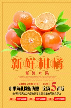 水果农场新鲜柑橘