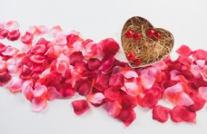 科技婚礼素材红玫瑰花瓣高清大图