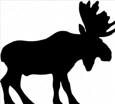 野生动物系列驯鹿圣诞鹿