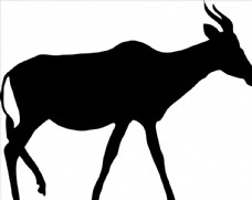 野生动物系列羚羊剪影