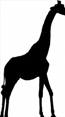 野生动物系列长颈鹿矢量图