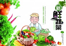 蔬菜海报易拉宝名片宣传