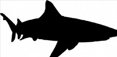 野生动物系列鲨鱼矢量图