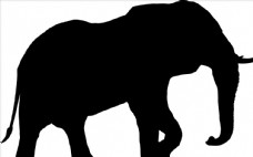 野生动物系列大象矢量图