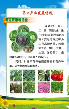 农副产品精品蔬菜种植