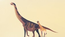 恐龙插画彩色插画恐龙动物背景