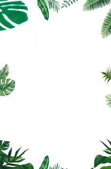绿色叶子植物边框
