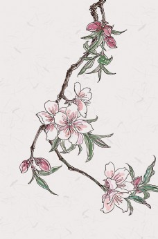 二十四节气手绘花卉