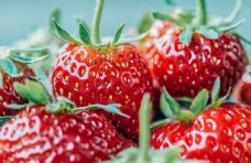 饮食水果草莓绿色食品餐饮美食水果