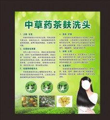 绿树纯中药茶麸洗头
