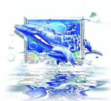 3D海豚