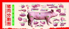 挂画猪肉分割图
