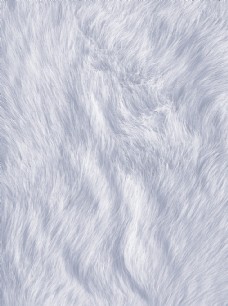 毛背景图片免费下载 毛背景设计素材大全 毛背景模板下载 毛背景图库 图行天下素材网
