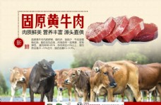 海报设计牛羊肉宣传广告宣传
