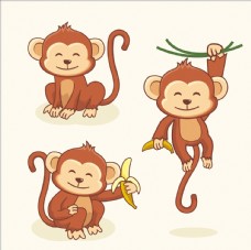 其他生物猴子
