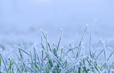冬天被小雪覆盖的草地