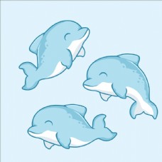 其他生物海豚