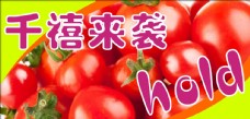 千禧番茄