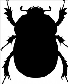 大自然甲虫剪影