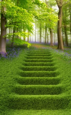 绿树绿色清新树林草地阶梯3D玄关