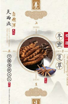 中国风中药文化冬虫夏草促销海报