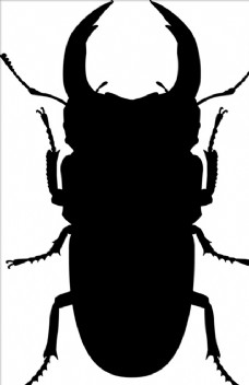 大自然昆虫系列锹形虫剪影