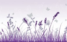 紫色梦幻