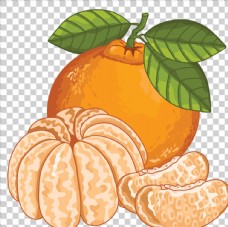 夏装橘子插画