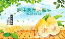 绿色蔬菜柚子海报