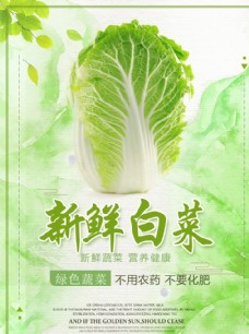 绿色蔬菜新鲜大白菜美食海报