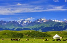 大自然蒙古包草原风景