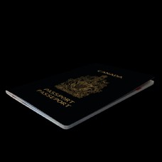 出国护照欧盟护照