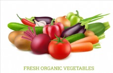 健康饮食蔬菜插画