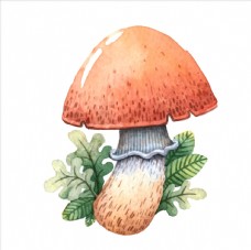 茶卡通蘑菇