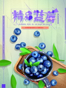 进口蔬果蓝莓