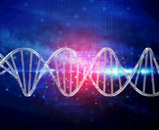 其他生物基因链DNA