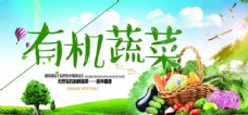 绿色蔬菜蔬果海报
