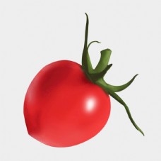 果蔬小番茄圣女果水果