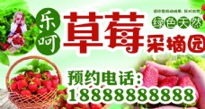 莓果草莓海报蔬果