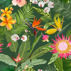 风情热带植物创意设计图案