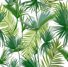 风情热带植物创意设计图案