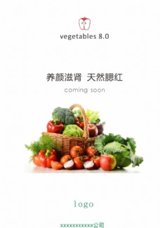 绿色蔬菜有机蔬菜发布会