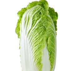 绿色蔬菜大白菜